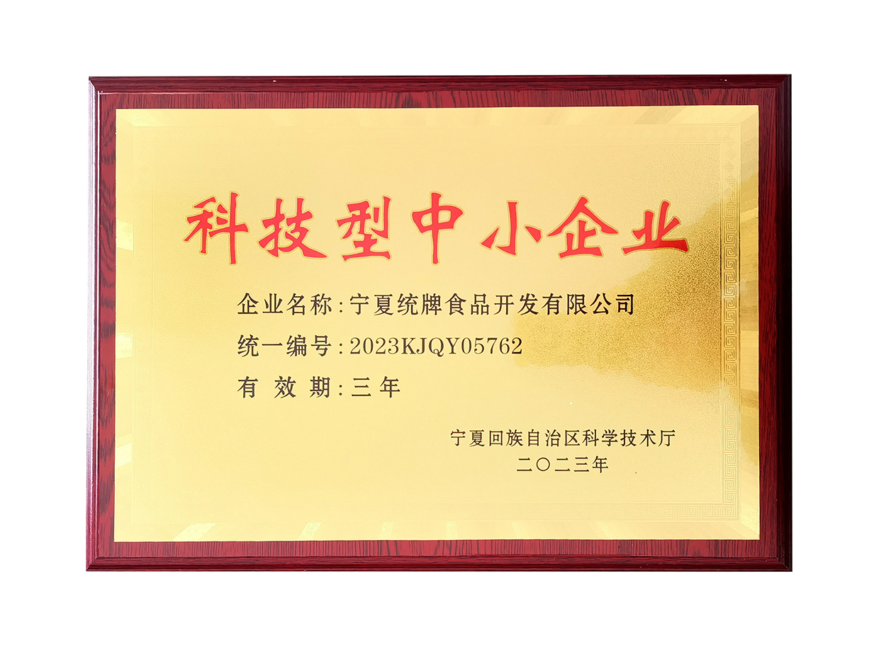 科技型中小企业
